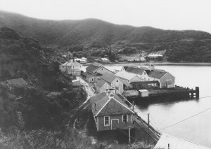 Hospital Cove, Quarantine Station (aka Ayala Cove), circa 1920