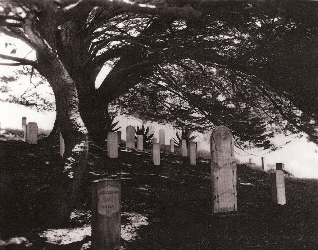 Angel Island - Cemetery