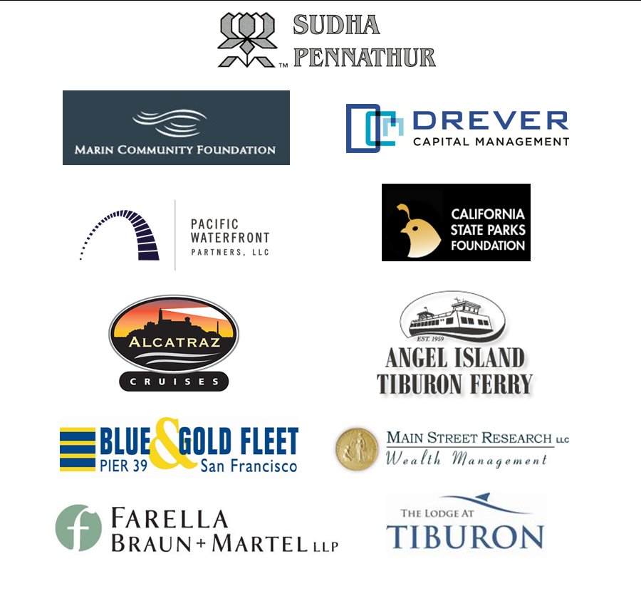 Sponsors Business 2013