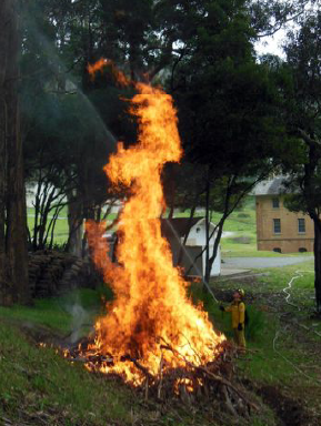 Pile Burning