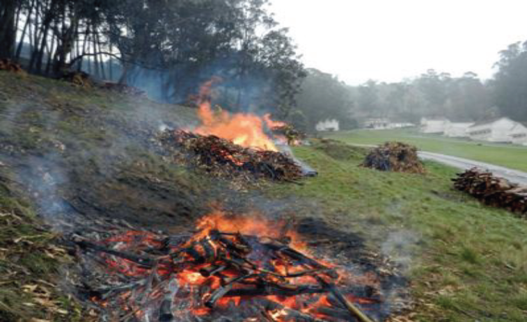 Pile Burning